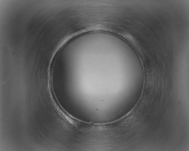 X0000058801286200510031310