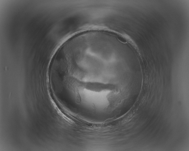X0000058801287200510031310