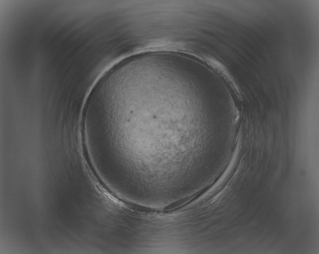 X0000058801288200510031310