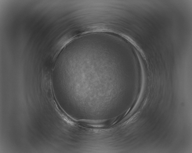 X0000058801289200510031310