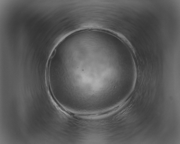 X0000058801295200510031310