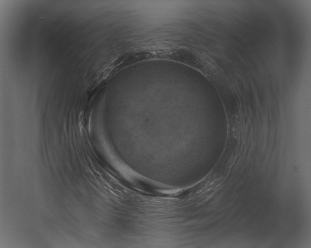 X0000058801298200510031309