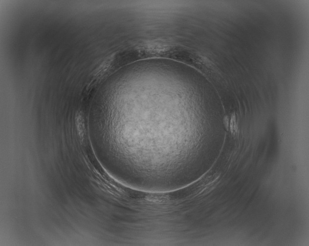 X0000058801299200510031309