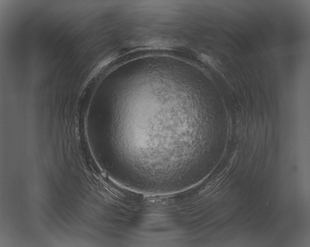 X0000058801307200510031309
