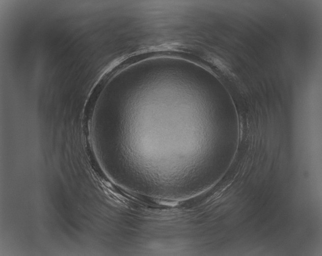 X0000058801308200510031309