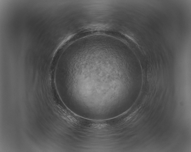 X0000058801309200510031309