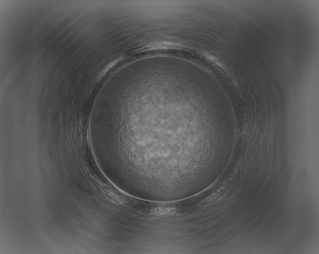 X0000058801313200510031309