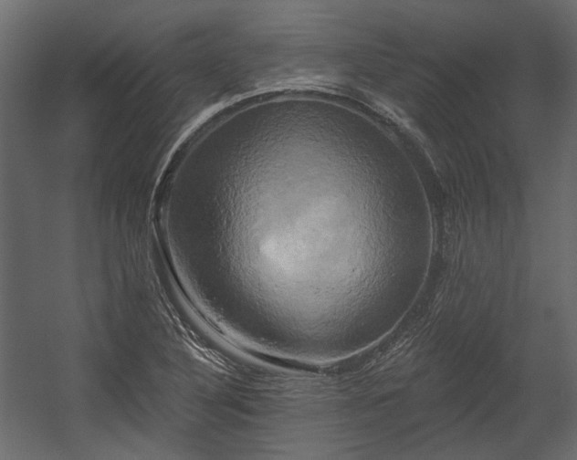 X0000058801316200510031309