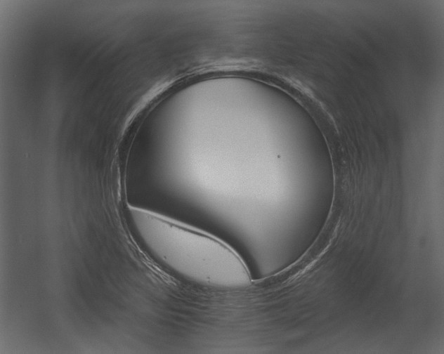 X0000058801317200510031309