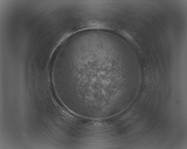 X0000058801318200510031309