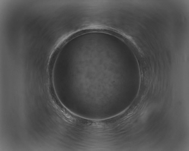 X0000058801319200510031309