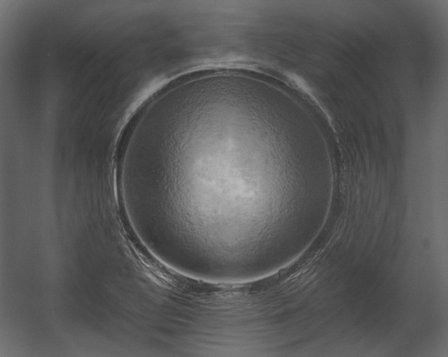 X0000058801320200510031309