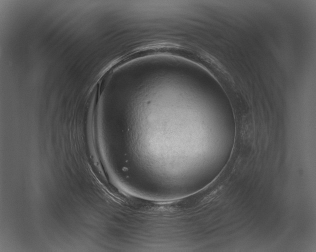 X0000058801321200510031309