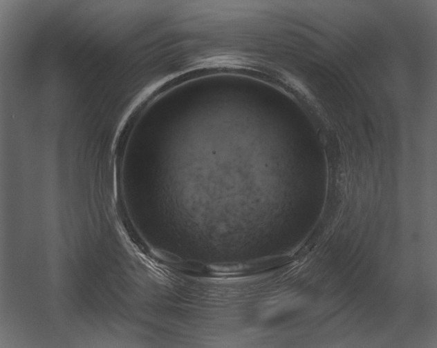 X0000058801323200510031309