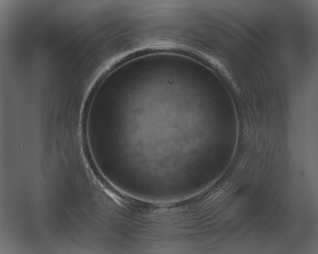 X0000058801327200510031310