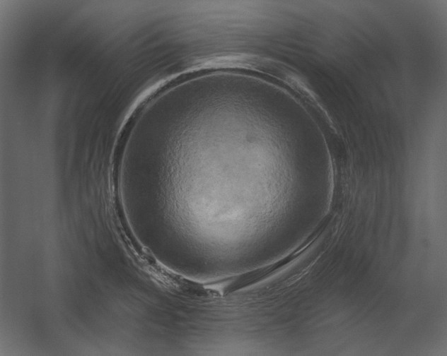X0000058801328200510031310