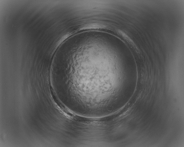 X0000058801329200510031310