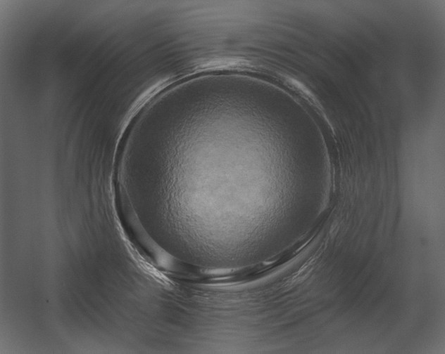 X0000058801330200510031310