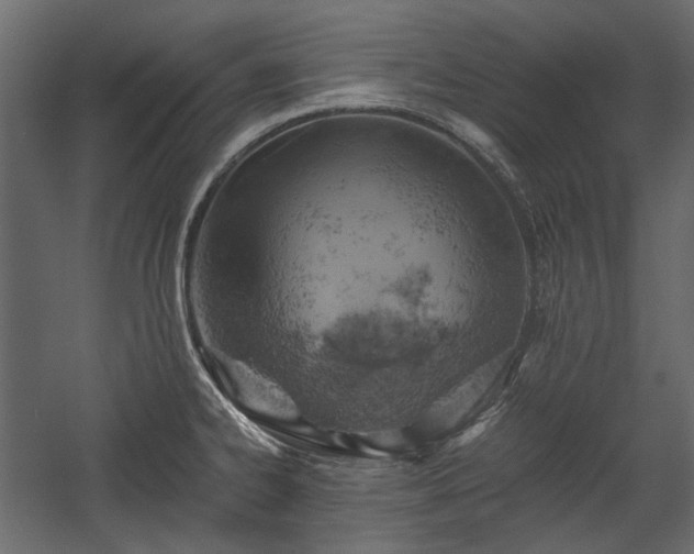X0000058801334200510031310