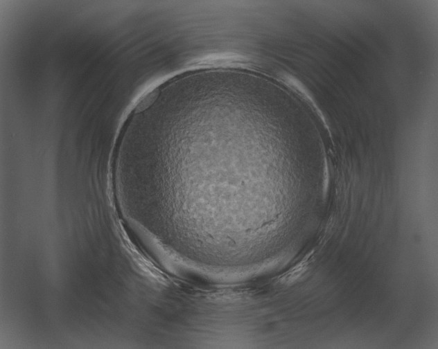 X0000058801336200510031310