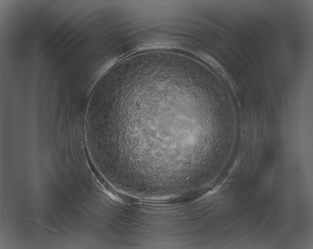 X0000058801337200510031310