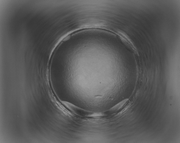 X0000058801340200510031310