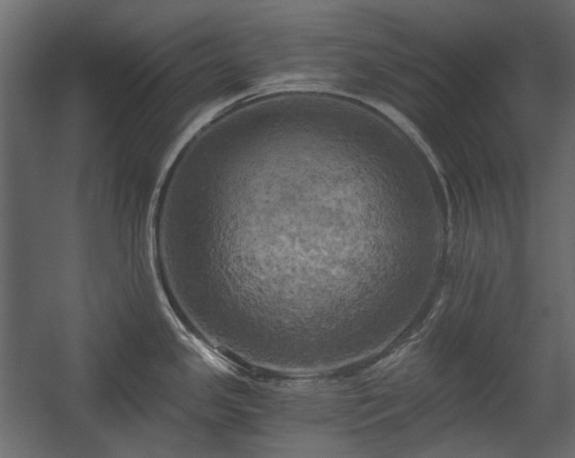 X0000058801341200510031310