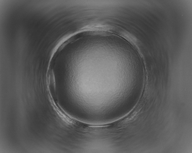 X0000058801344200510031310