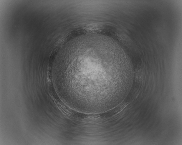 X0000058801346200510031309