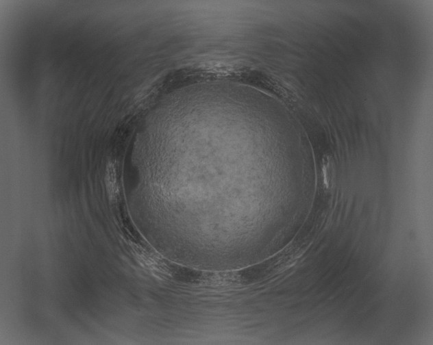 X0000058801347200510031309