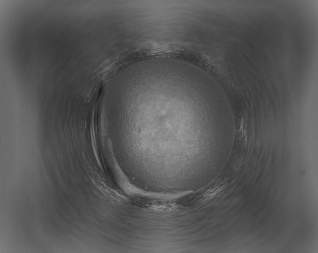 X0000058801348200510031309