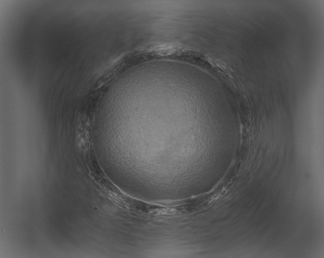 X0000058801349200510031309