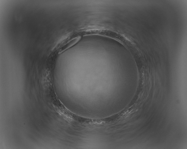 X0000058801351200510031309