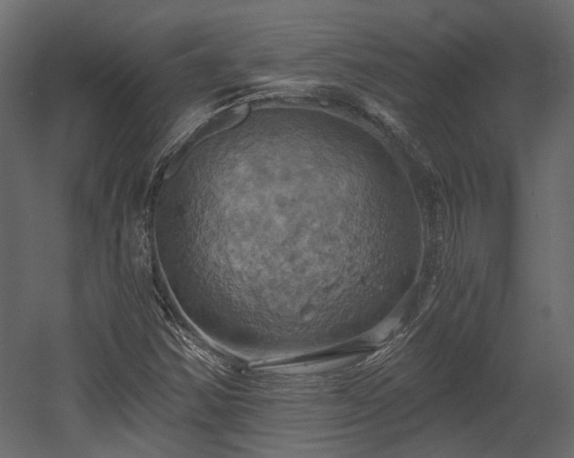 X0000058801354200510031309