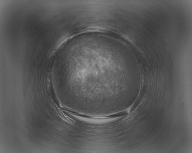 X0000058801355200510031309