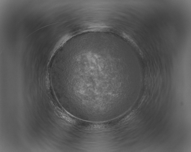 X0000058801362200510031309