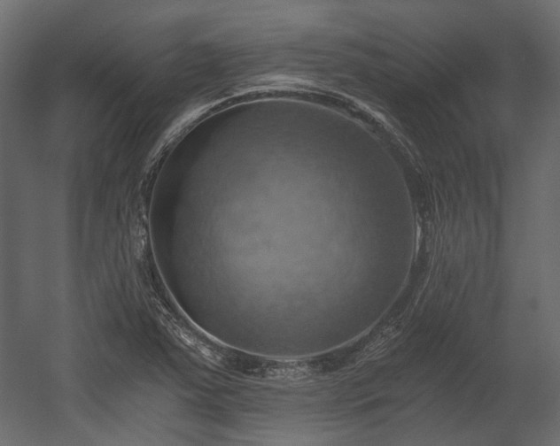 X0000058801363200510031309
