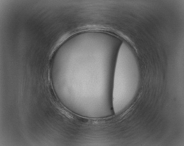 X0000058801365200510031309