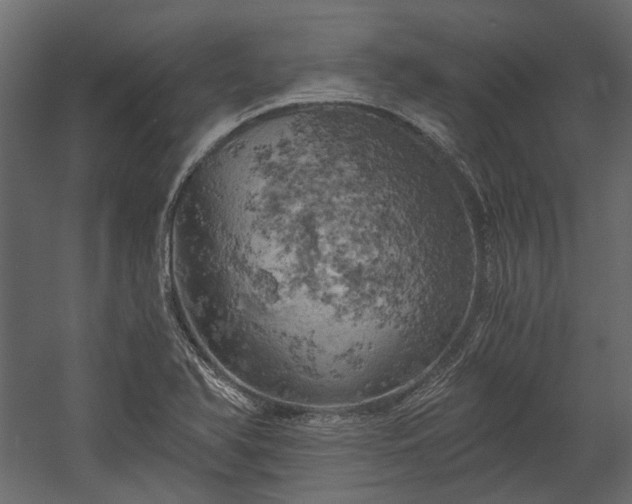 X0000058801366200510031309