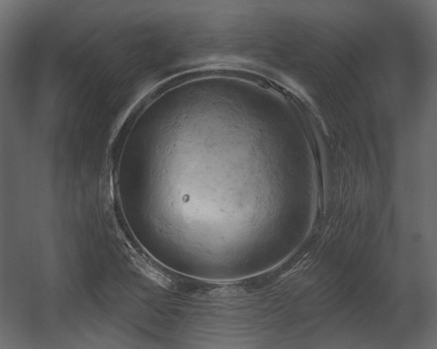 X0000058801368200510031309