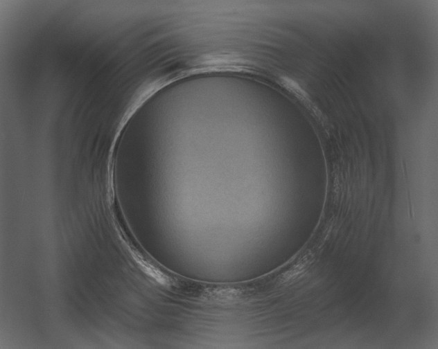 X0000058801370200510031309