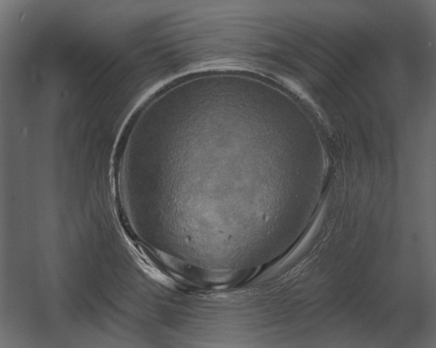 X0000058801372200510031309