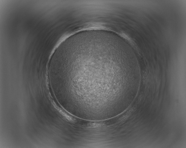 X0000058801374200510031308