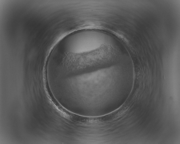 X0000058801375200510031308