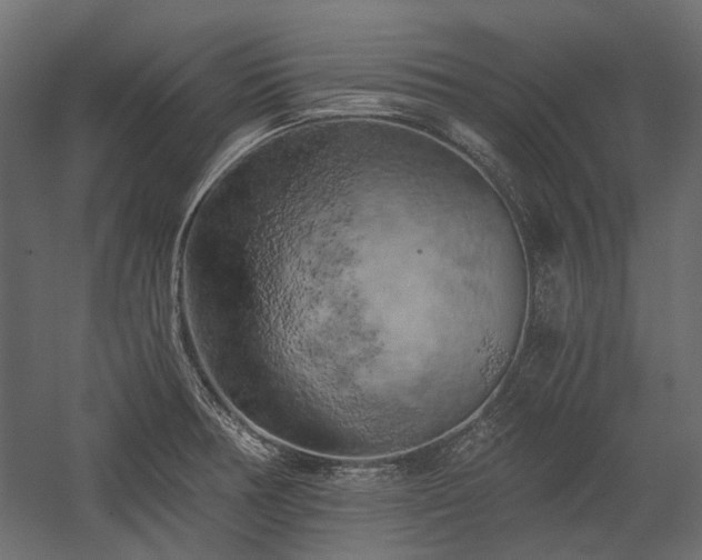 X0000058801378200510031308