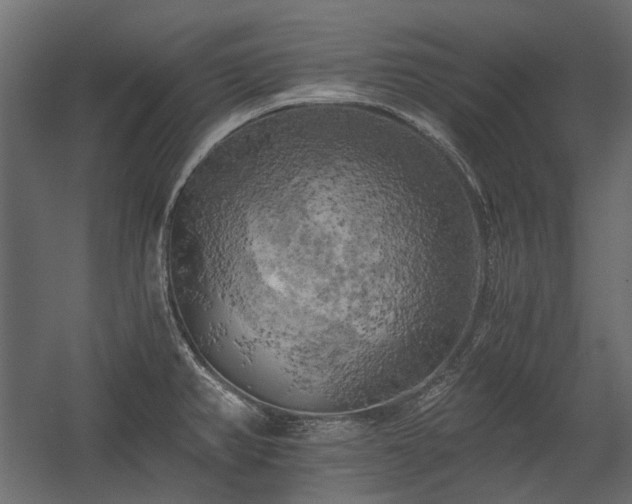 X0000058801382200510031308