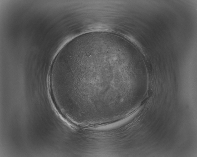 X0000058801383200510031308
