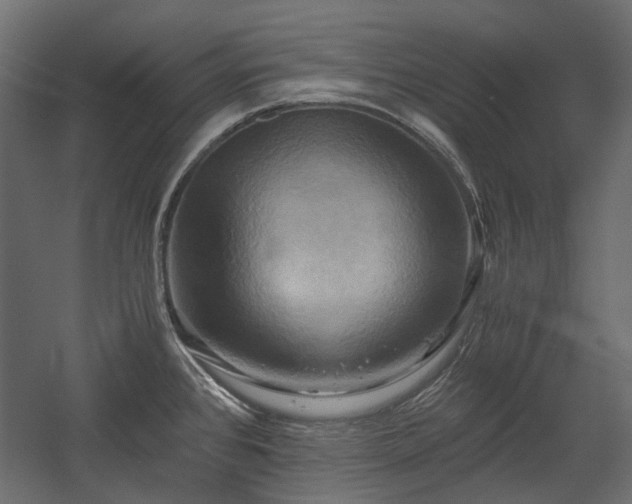 X0000058801384200510031308