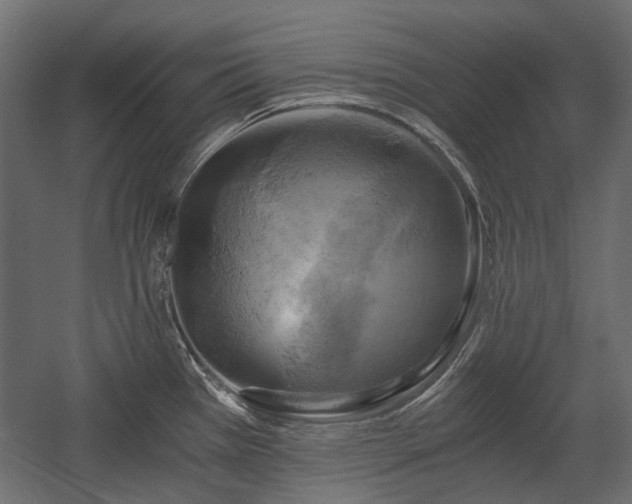 X0000058801385200510031308