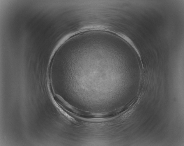 X0000058801389200510031308